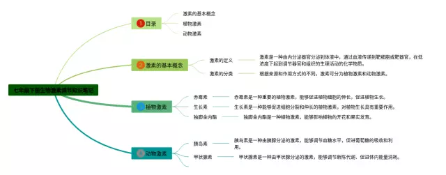七年级下册激素调节思维导图-3