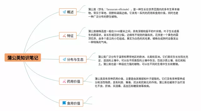 蒲公英思维导图-3