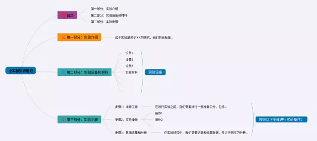我做了一个小实验的思维导图-2
