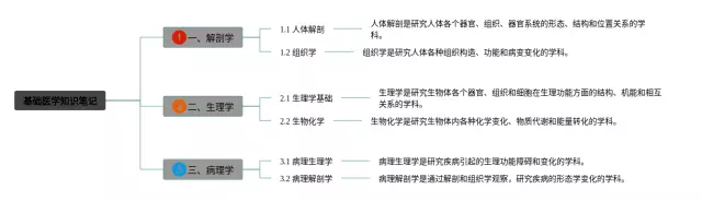 基础医学思维导图-4