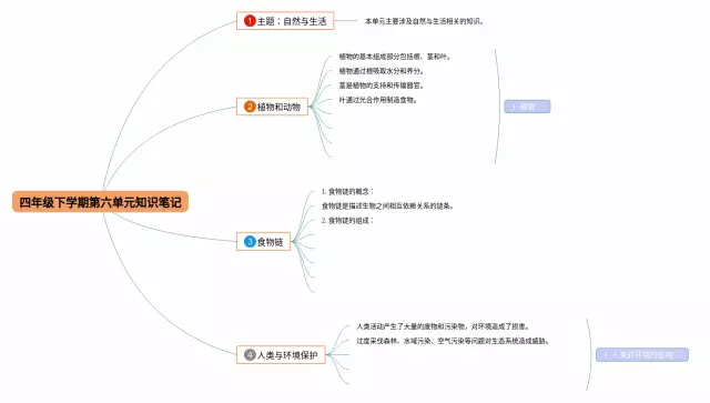 四年级第六单元下学期思维导图-1