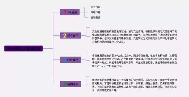 植物生理学第三章思维导图-3