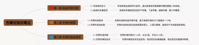 伤寒论电子版思维导图-4