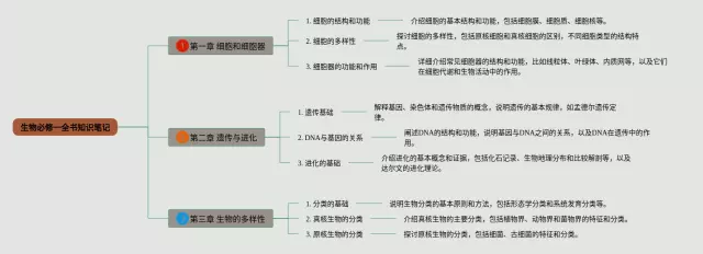 必修一的 全书思维导图-1