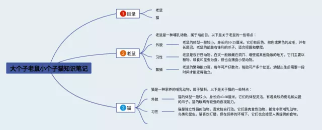 一年级大个子思维导图-3