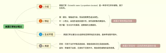 两茎灯草思维导图-2