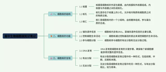 高中细胞核思维导图-4