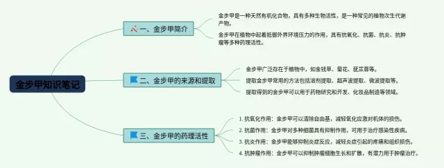 金步甲思维导图-3