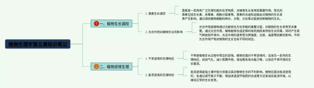 植物生理学第五章思维导图-3