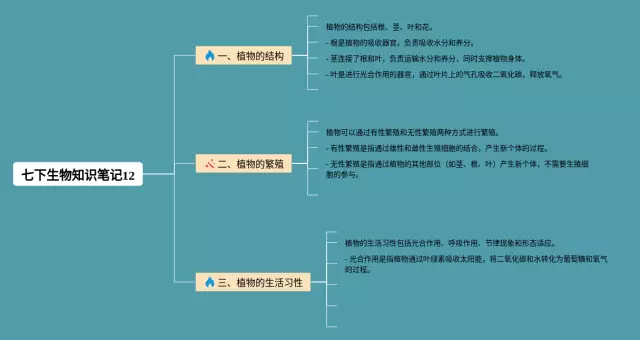 七下12思维导图-4