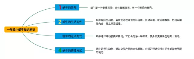 一年级小蜗牛思维导图-4