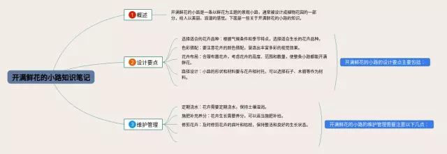 开满鲜花的小路怎么画思维导图-4