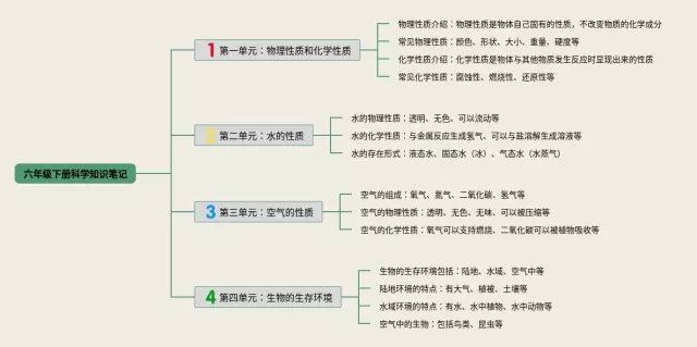 六年级下册科学一到四单元思维导图-4