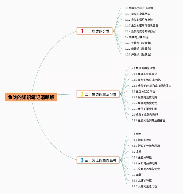鱼类的清晰版思维导图-3