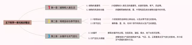 五下科学一单元思维导图-4