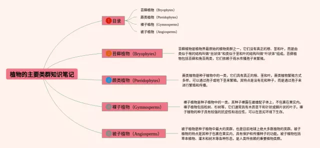 八下植物的主要类群思维导图-2