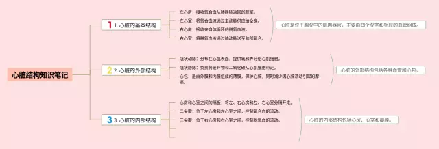 心脏结构思维导图-2