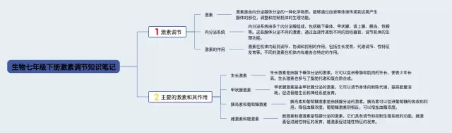 七年级下册激素调节思维导图-1