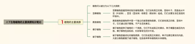 八下植物的主要类群思维导图-1