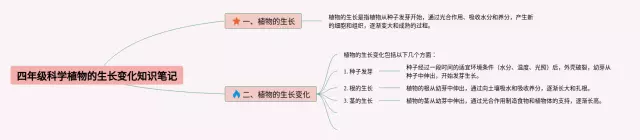 四年级科学植物的生长变化思维导图-2