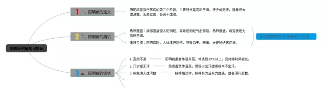 伤寒阳明病思维导图-2
