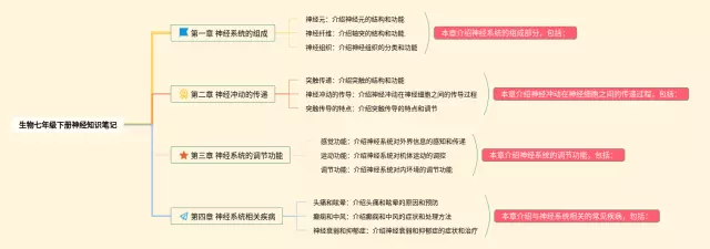 七年级下册神经思维导图-2