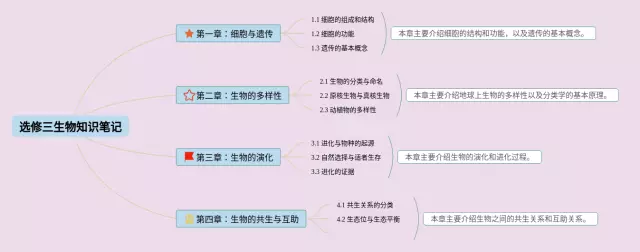 选三思维导图-4