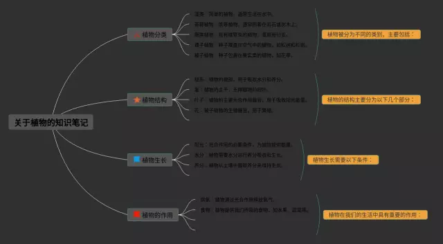 关于植物的思维导图-4