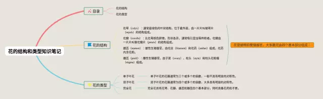 花的结构和类型思维导图-3
