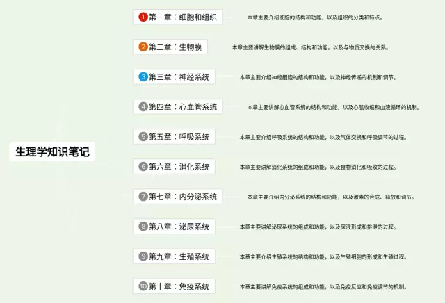 生理学完整版思维导图-2