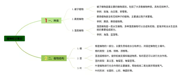 写植物的思维导图-3