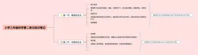 小学三年级第二单元科学思维导图-4