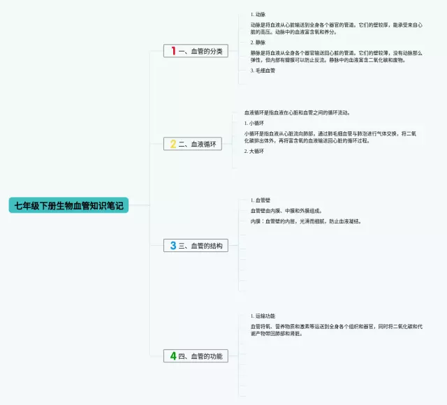 七年级下册血管思维导图-4