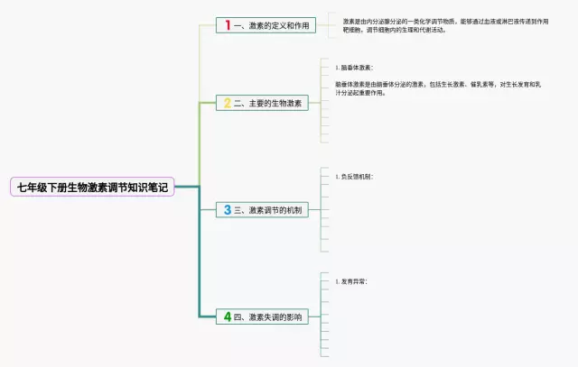 七年级下册激素调节思维导图-4