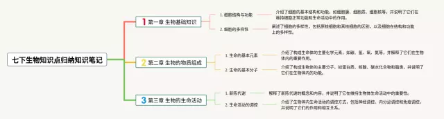 七下知识点归纳总结思维导图-3