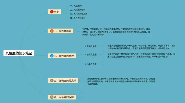九色鹿的思维导图-4